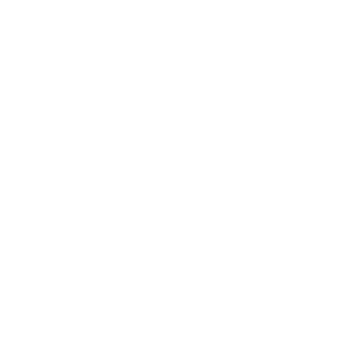 Satu Mare 360