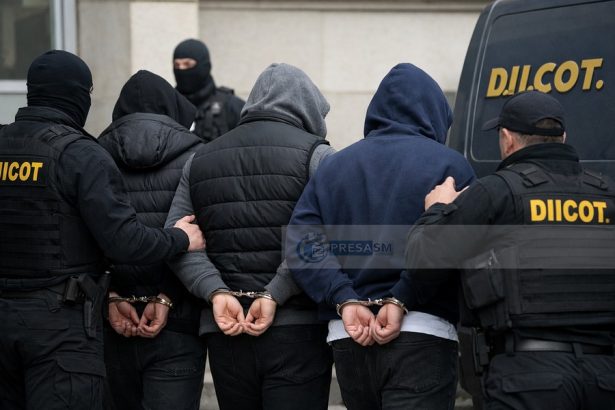 revoltator trei satmareni retinuti si cercetati pentru violarea a cinci fete cu varste intre 11 si 15 ani in judet