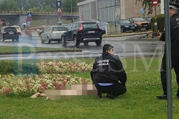 Barbat surprins in timp ce se autosatisfacea in doua parcuri din municipiul Satu Mare