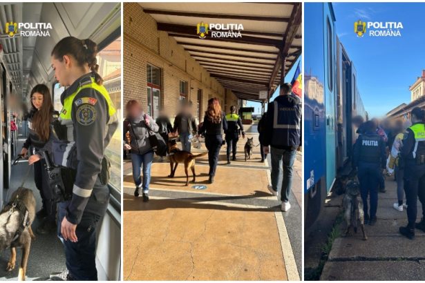 FOTO Politica a efectuat verificari la toate trenurile din Gara Satu Mare inclusiv cu ajutorul cainilor de serviciu