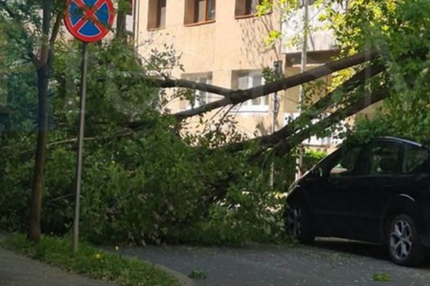 FOTO Primele dificultati cauzate de vant la Satu Mare Judetul se afla sub Cod galben