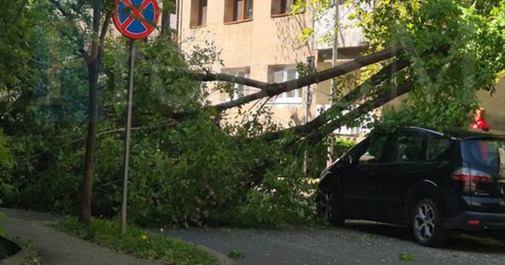 FOTO Primele dificultati cauzate de vant la Satu Mare Judetul se afla sub Cod galben