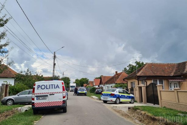 La un pas de crima O satmareanca si a lovit fostul sot in cap cu sapa Victima incerca sa evadeze
