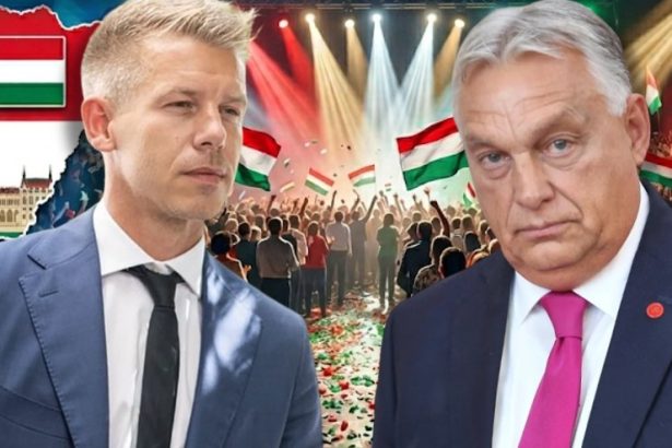 Mii de maghiari din Satu Mare participa la alegerile din Ungaria de duminica De ce multi aleg sa nu voteze
