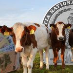 ancheta dna mecanismul prin care se obtineau subventii ilegale de la apia in judetul satu mare