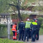 foto video descoperire uluitoare in centrul satu mare barbat decedat trecut cu vederea de trecatori timp de ore intregi