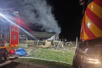satu mare un tata si cei doi fii ai sai acuzati ca au agresat violent un barbat acestia ar fi provocat si un incendiu la ferma