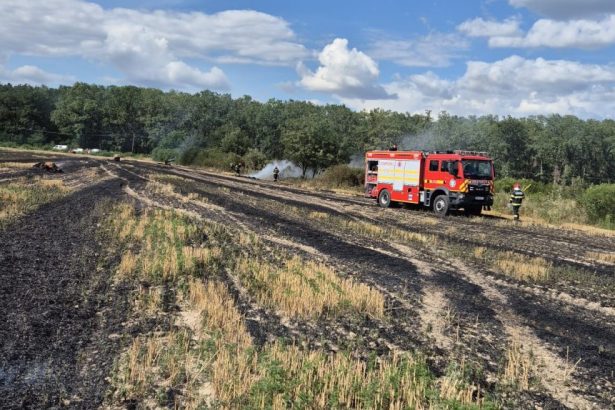 Incendii in lant in judetul Satu Mare Cod Portocaliu de CANICULA