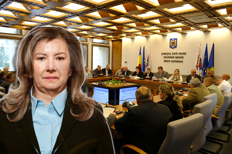 ANCHETA Acuzaii socante la DGASPC Satu Mare Salarii exorbitante pentru directori in timp ce centrele se confrunta cu lipsa de personal