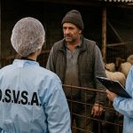 Amenda pentru un proprietar de animale din judetul Satu Mare Avertizariile primite de la DSVSA