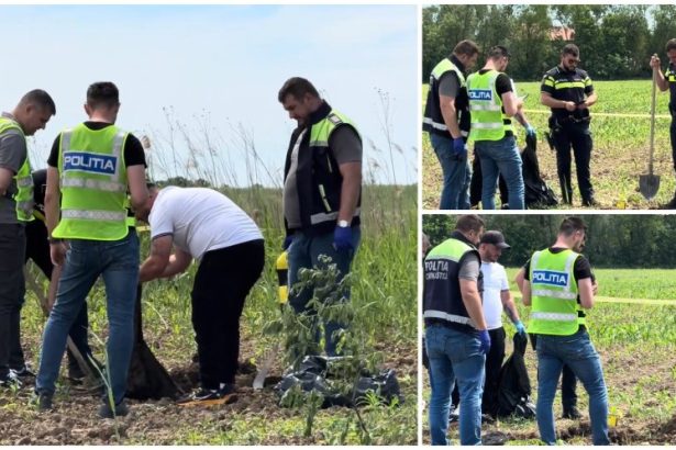 Detalii despre crima socanta din judetul Satu Mare Un tanar de 18 ani ar fi ucis un coleg si ar fi incendiat rulota fermei