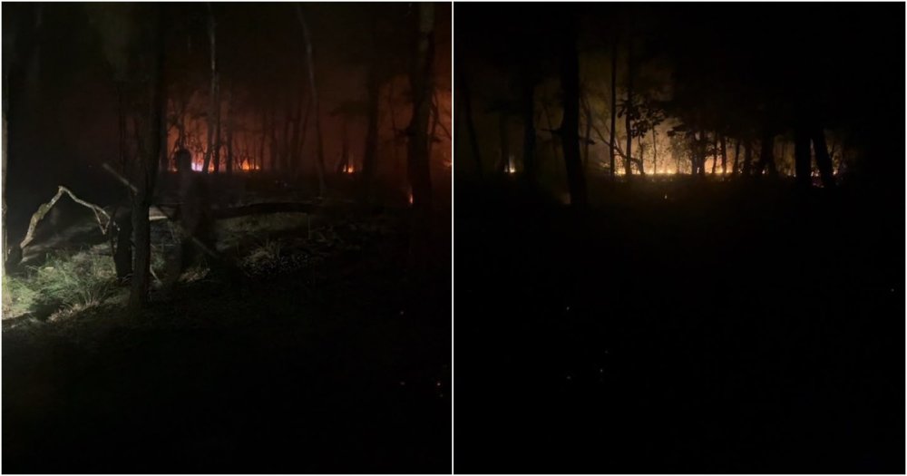 Doua incendii de vegetatie in decurs de cateva ore in judetul Satu Mare Cinci hectare afectate de flacari
