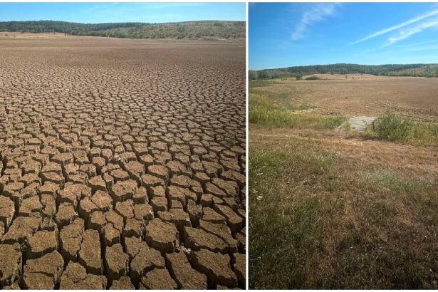 FOTO Un celebru lac de pescuit din judetul Satu Mare si a incheiat povestea Lacul Hodisa a secat Nu mai putem continua