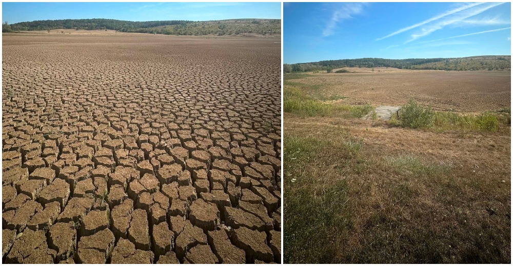 FOTO Un celebru lac de pescuit din judetul Satu Mare si a incheiat povestea Lacul Hodisa a secat Nu mai putem continua