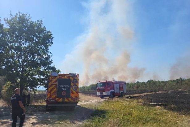 FOTO VIDEO incendiu de proportii mari de vegetaie la Certeze pompierii se confrunta cu mai multe focare