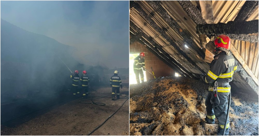 FOTOGALERIE Flacari imense la Boghish O persoana s a ars zeci de animale salvate in ultimul moment
