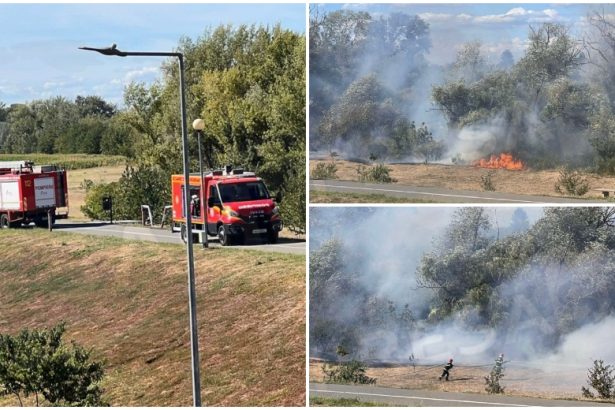 FOTOGALERIE Incendiu de mari proportii pe malul Somesului in zona Cartierului Micro 16