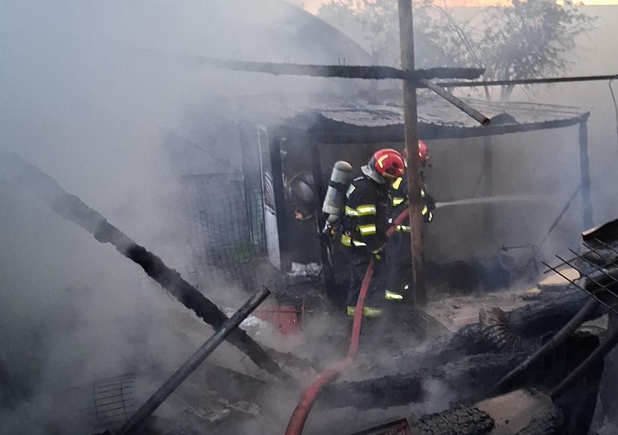 Mobilizare a pompierilor din Satu Mare Animale in pericol flacarile au cuprins o