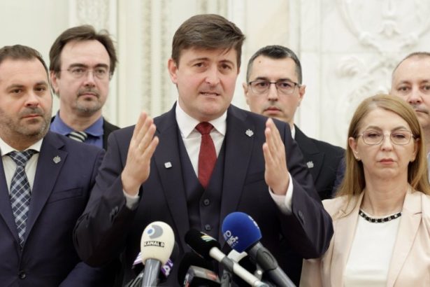 PSD a incercat sa elimine la Senat amendamentele USR care garantau o minima transparente a declaratiilor de avere