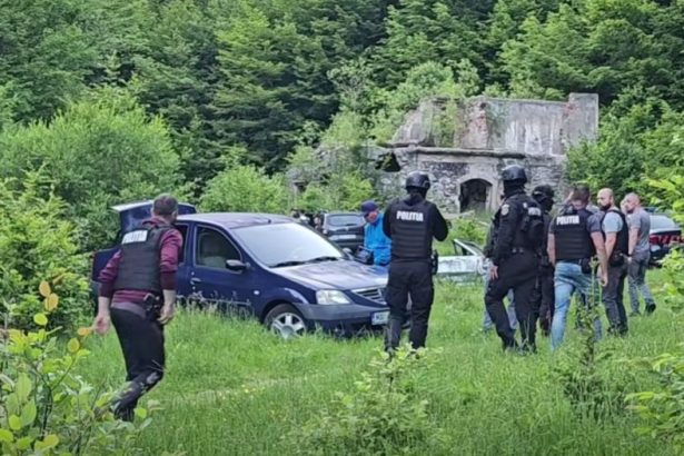 Satmreanca lovita cu un par dupa ce a filmat un barbat tind lemne Victima a suferit o fractura la brat