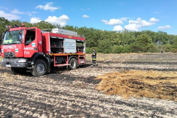 VIDEO Cauza incendiului de la parcul industrial din Satu Mare Zeci de hectare au fost distruse de flacari