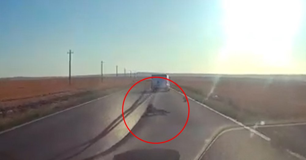 VIDEO Imagini shocante pe o sosea din tara Copil cazut din duba se ridica si merg spre un TIR