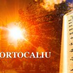 Valul de caldura se amplifica la Satu Mare Meteorologii au emis alerta Cod portocaliu Ce temperaturi maxime sunt prognozate in judet