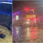 foto alerta la odoreu a incendiat fosta ferma cucu apoi ar fi incercat sa comita o noua infractiune