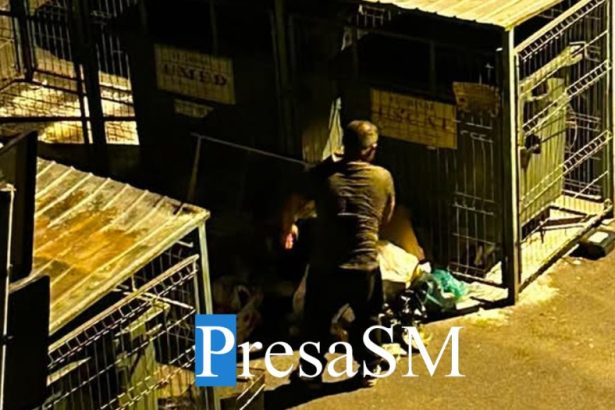 foto tomberoane rascolite gunoaie imprastiate si un miros insuportabil dintr un cartier din satu mare