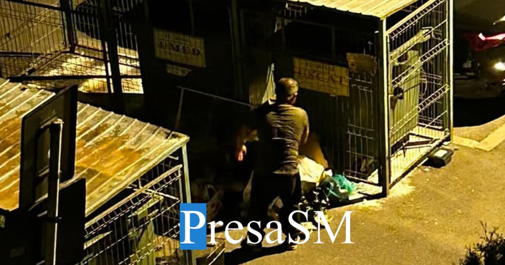 foto tomberoane rascolite gunoaie imprastiate si un miros insuportabil dintr un cartier din satu mare