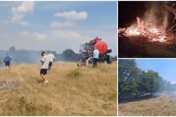 foto video bilantul iresponsabilitatii zeci de incendii si hectare transformate in scrum in judetul satu mare
