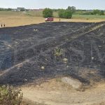 foto video incendiu devastator pe malul somesului in satu mare vegetaie in flacari in zona podului galben