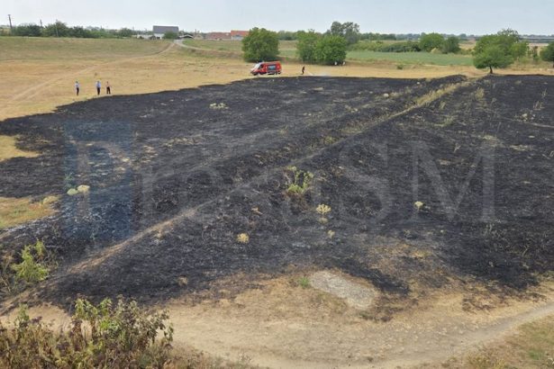 foto video incendiu devastator pe malul somesului in satu mare vegetaie in flacari in zona podului galben