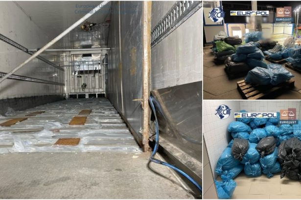 foto video perchezitii diicot in satu mare captura de amploare 1 7 tone de droguri confiscate