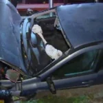 Accident pe DN 19. Tânăr de 18 ani, mașina într-un cap de pod. Pasagerul la spital