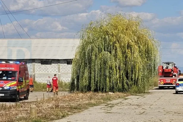 Alertă de incendiu la o fermă de pui din Satu Mare! Mobilizare de forțe a pompierilor