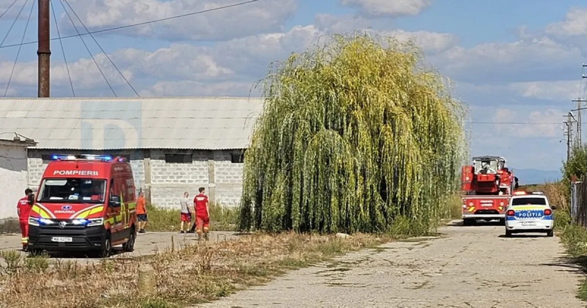 Alertă de incendiu la o fermă de pui din Satu Mare! Mobilizare de forțe a pompierilor