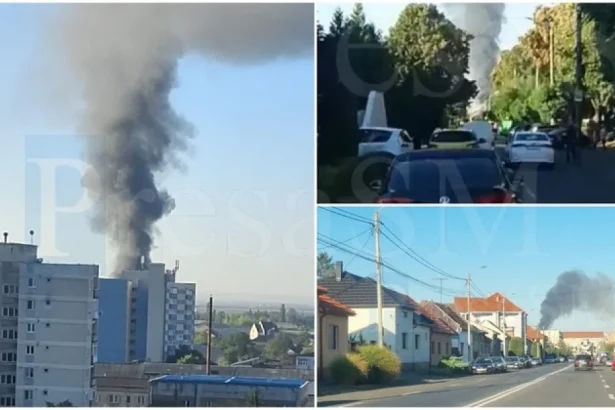 Incendiu puternic la un magazin din Satu Mare. Fumul se vede de la kilometri distanță