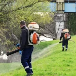 Nouă acțiune de dezinsecție la Satu Mare. Zonele vizate și data desfășurării