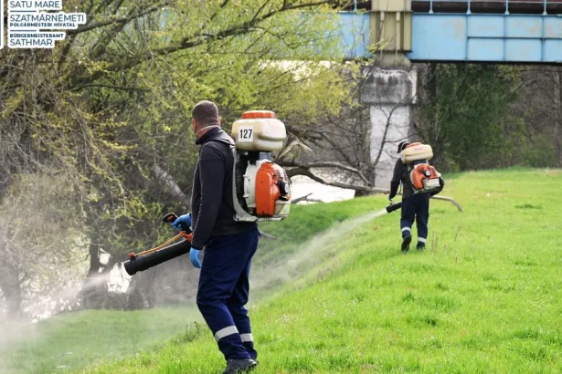 Nouă acțiune de dezinsecție la Satu Mare. Zonele vizate și data desfășurării