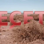 Satu Mare, printre județele puternic afectate de secetă. Reacția ministrului Agriculturii