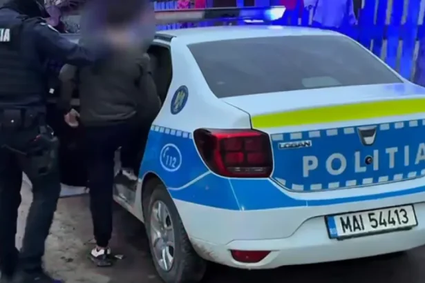 Șofer din Satu Mare, reținut după ce a lovit un indicator și a ajuns pe spațiul verde