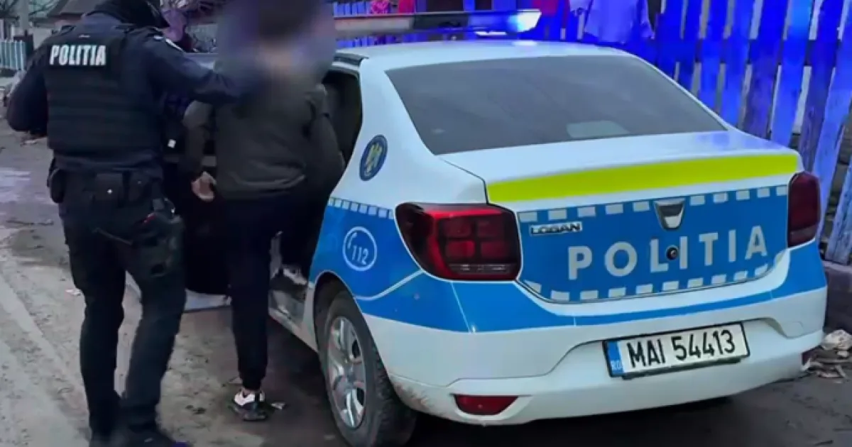 Șofer din Satu Mare, reținut după ce a lovit un indicator și a ajuns pe spațiul verde