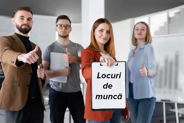 Sute de posturi vacante în Satu Mare. Peste 100 de oferte și în străinătate