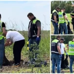 Tânăr de 18 ani, cercetat pentru crimă la o fermă din Livada