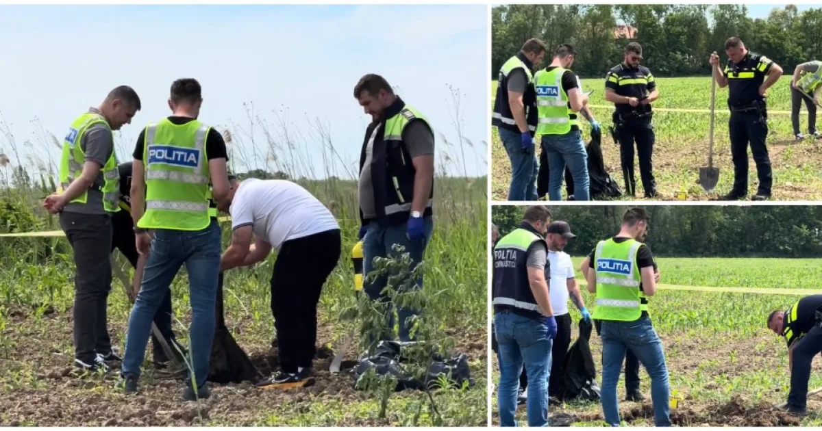Tânăr de 18 ani, cercetat pentru crimă la o fermă din Livada